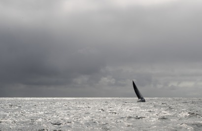 Sebastien Simon (Bretagne CMB Performance) lors de la 1ere etape de la Solitaire URGO Le Figaro le 27/08/2018